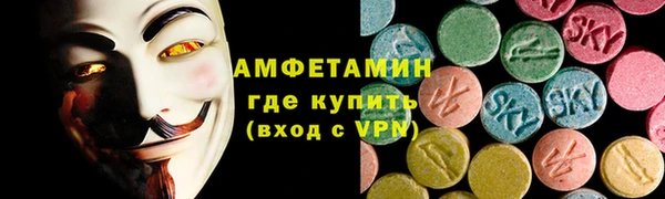 гидра Богородицк