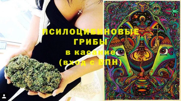 гидра Богородицк