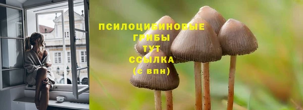 прущие крисы Беломорск