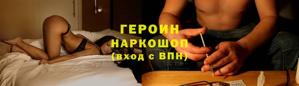 гидра Богородицк