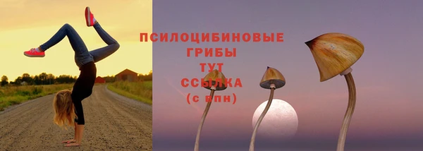 гидра Богородицк