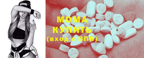 гидра Богородицк