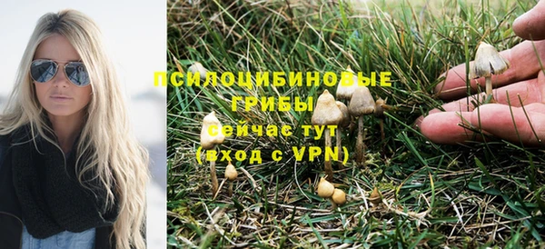 амф Белоозёрский