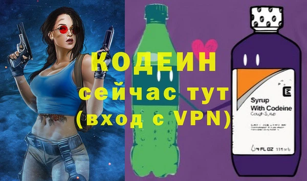 гидра Богородицк