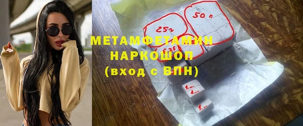 гидра Богородицк
