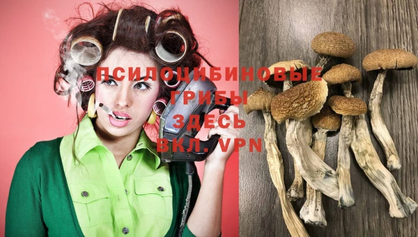 гидра Богородицк