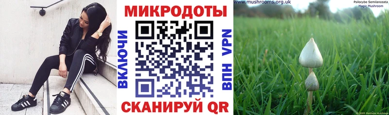 Галлюциногенные грибы Psilocybine cubensis нарко площадка клад Бузулук даркнет сайт