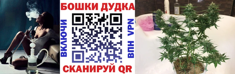МАРИХУАНА OG Kush  купить   Бузулук 